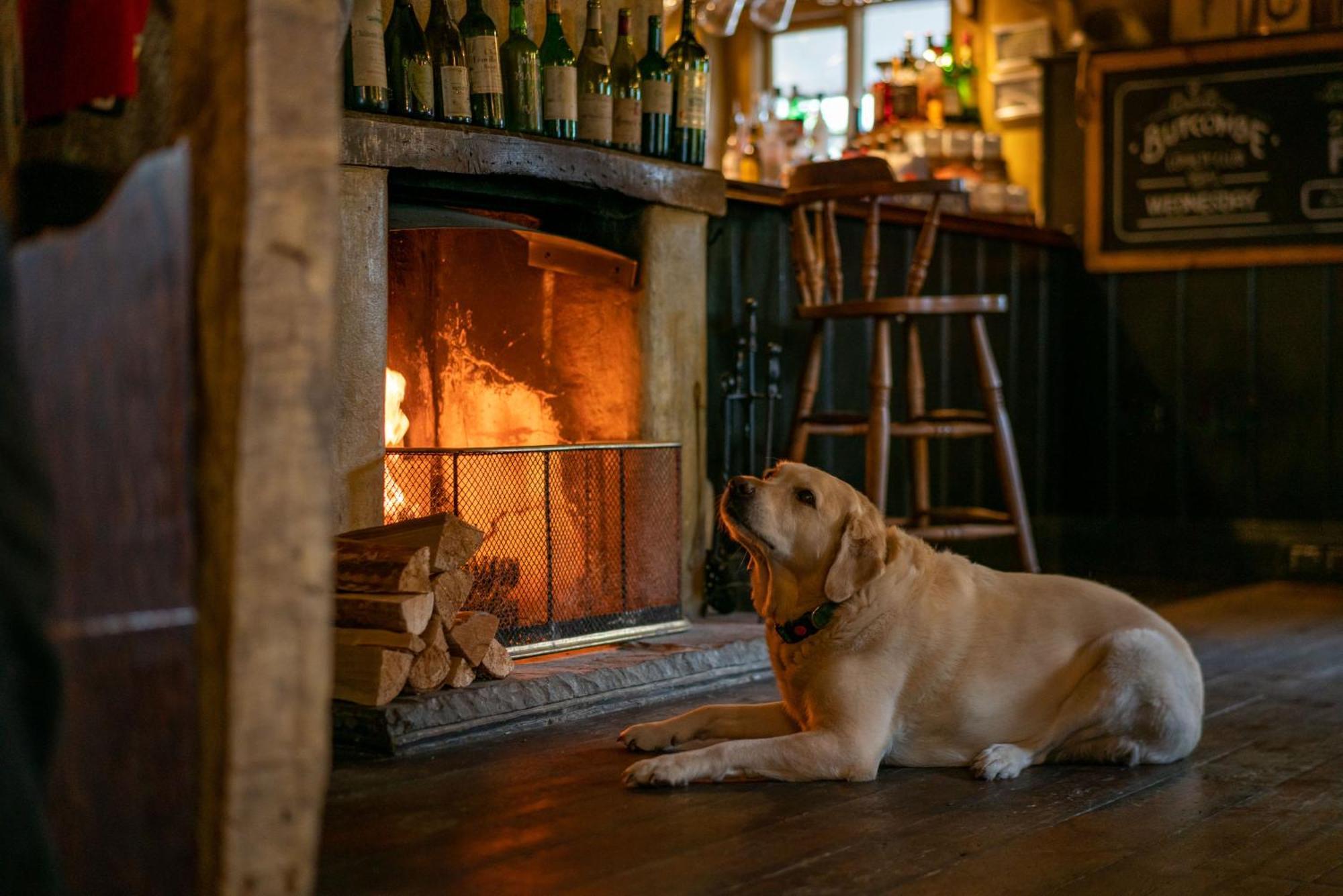 The Anchor Inn Lower Froyle Exteriér fotografie